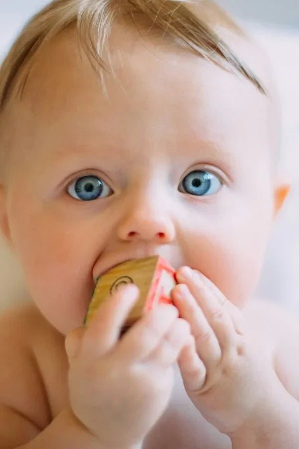 Primo piano di un bambino con occhi azzurri brillanti che mastica un blocchetto di legno, tenendolo con entrambe le mani.